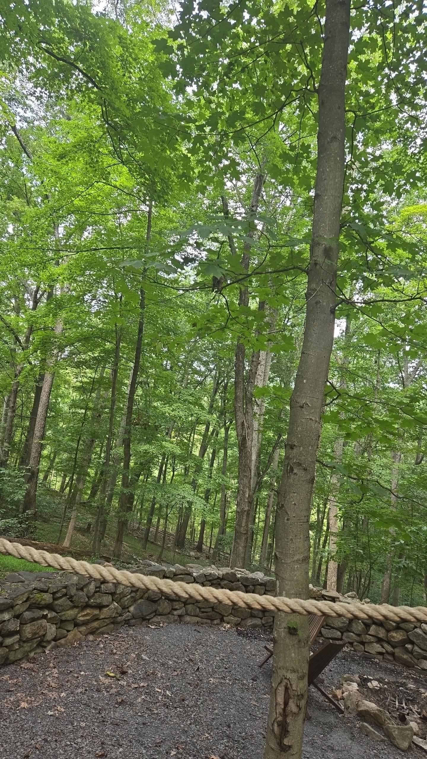 View from the back deck was breathtaking! And we saw so much wild life while sitting out there