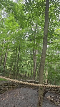 View from the back deck was breathtaking! And we saw so much wild life while sitting out there