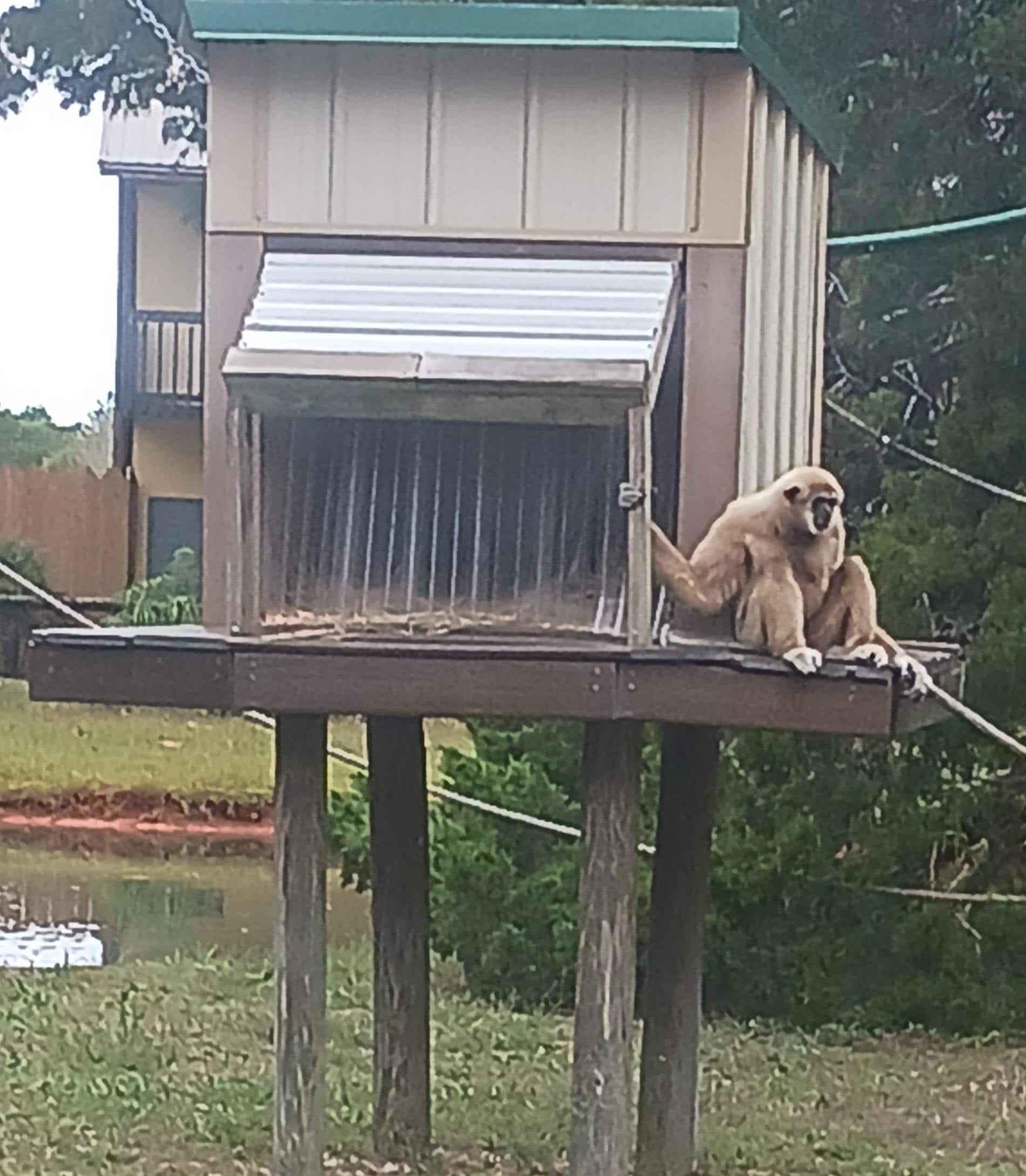 The Zoo was a favorite with the grandkids.