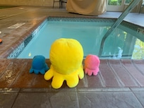 Cute 🥰 octopus 🐙 plushies love ❤️ swimming with me