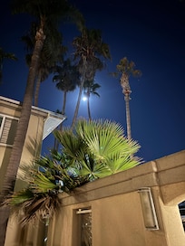 Taken from center courtyard.