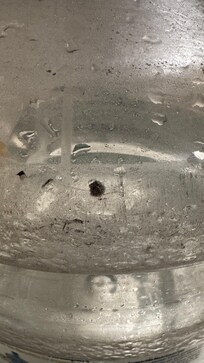 Hongos en los garrafones donde toma uno agua