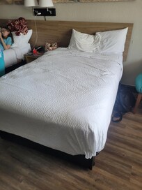 1st bed in the room