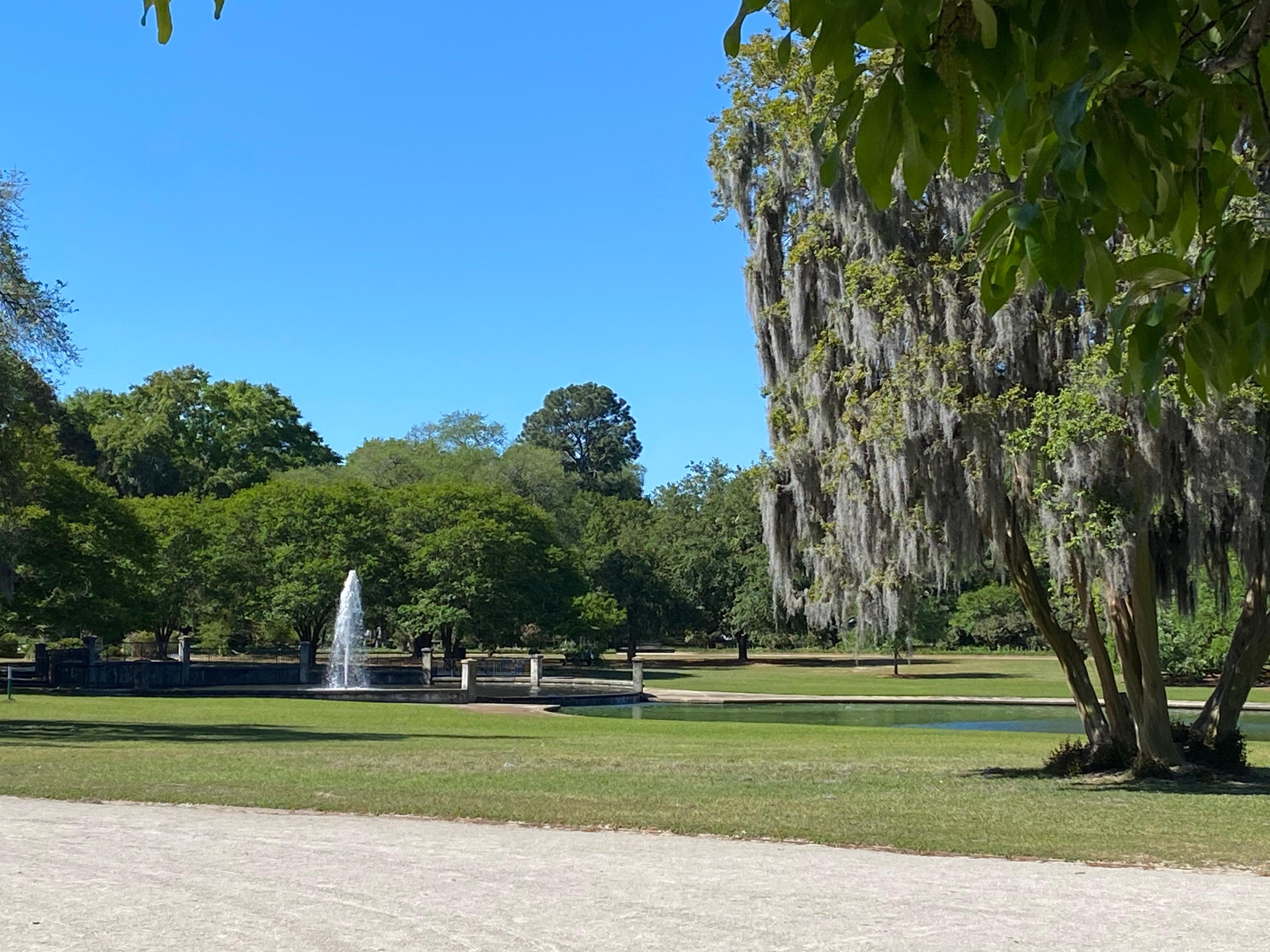 Hampton Park nearby and great for walking or relaxing.