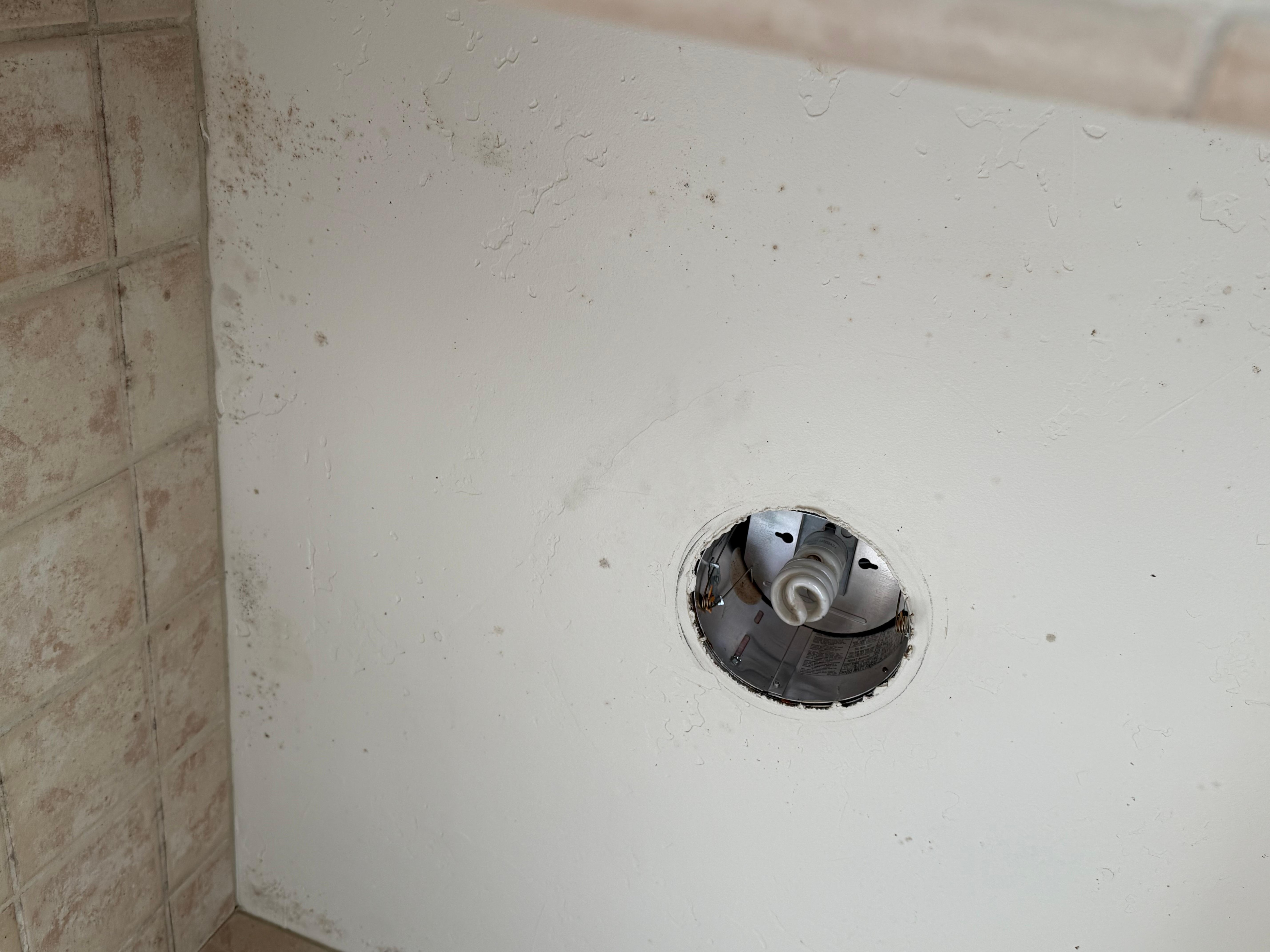 Mold in shower