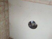 Mold in shower