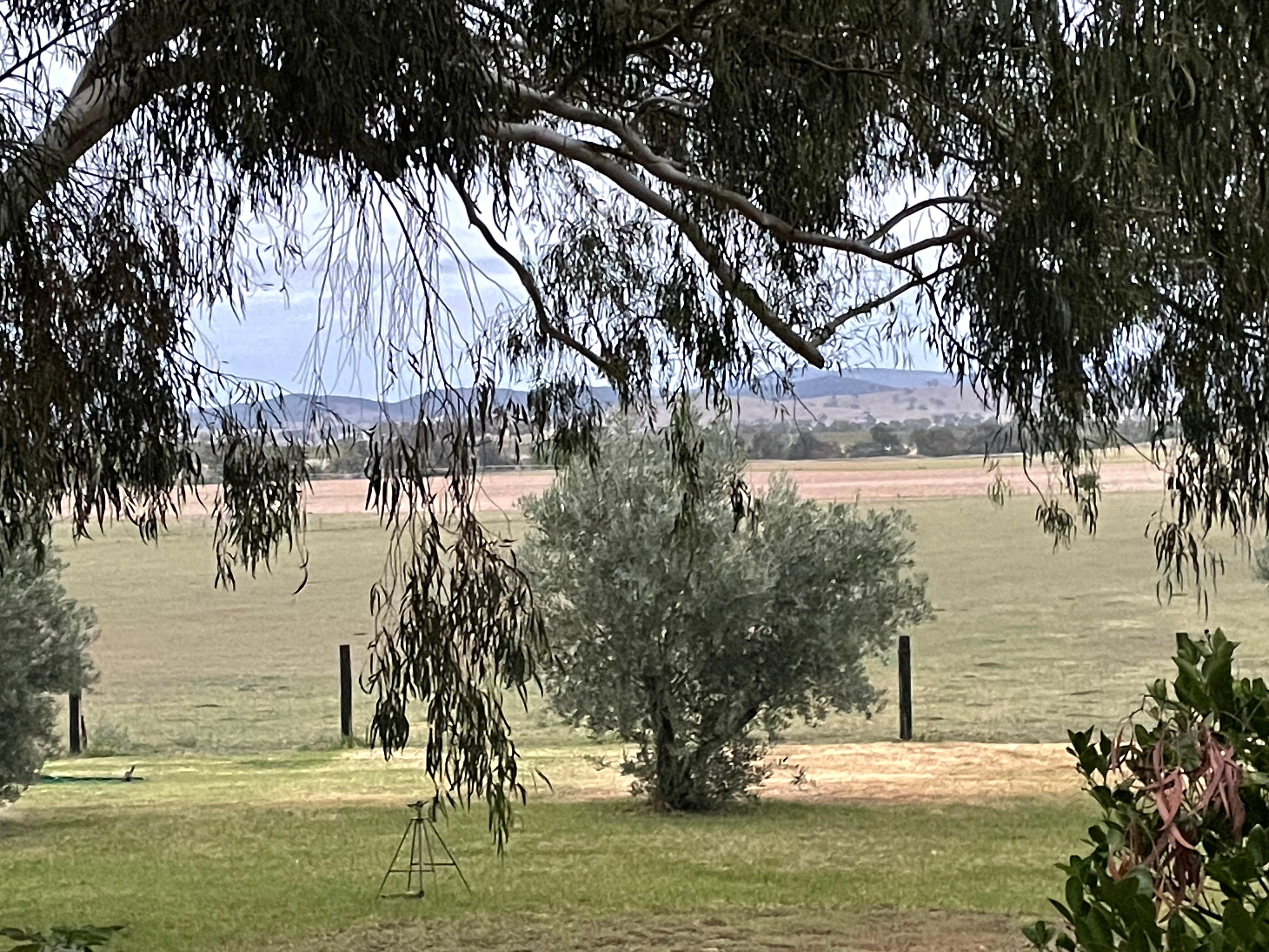 Just after the early morning mist had lifted. 