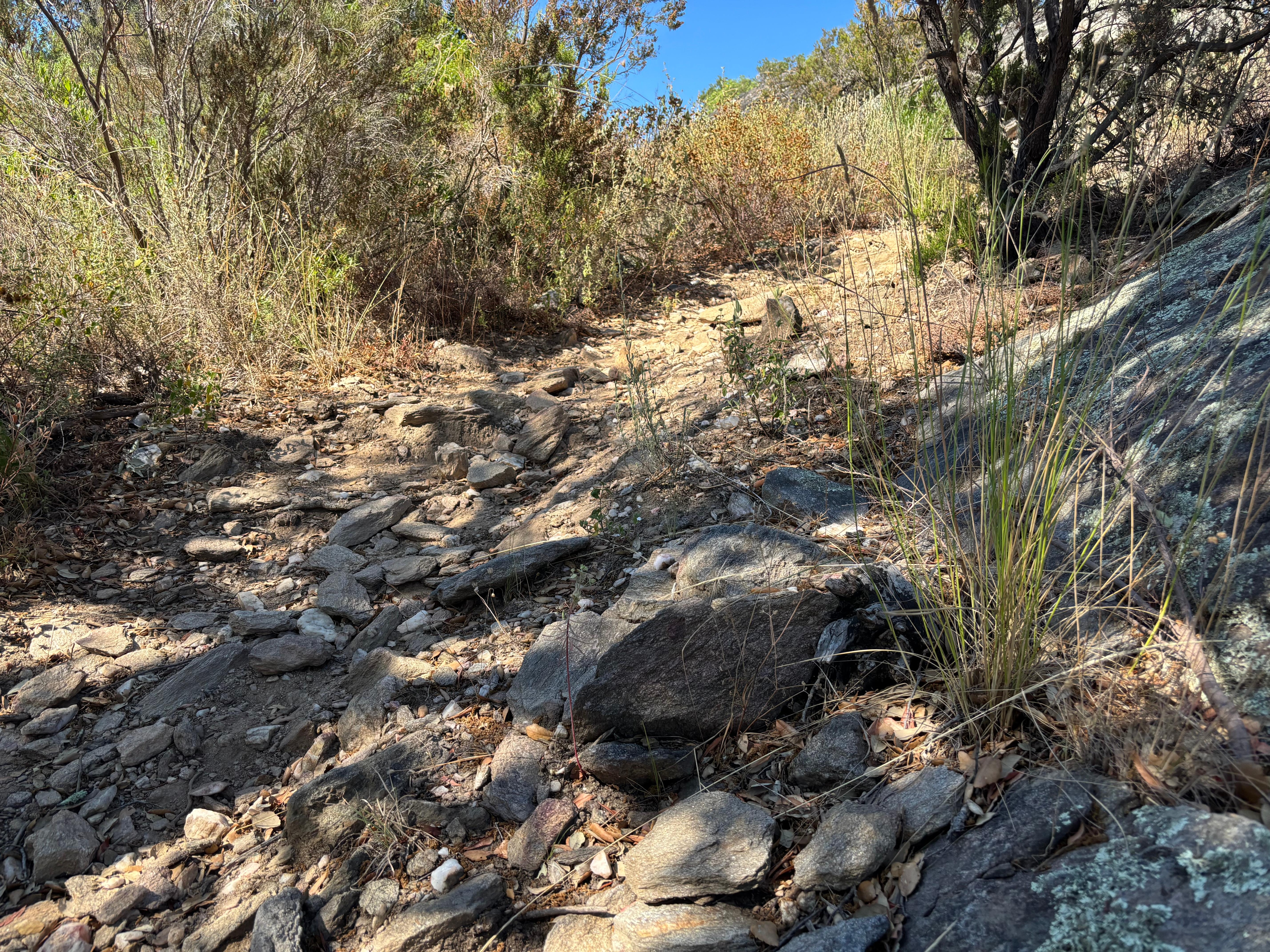 Chemin de randonnée 
