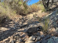 Chemin de randonnée