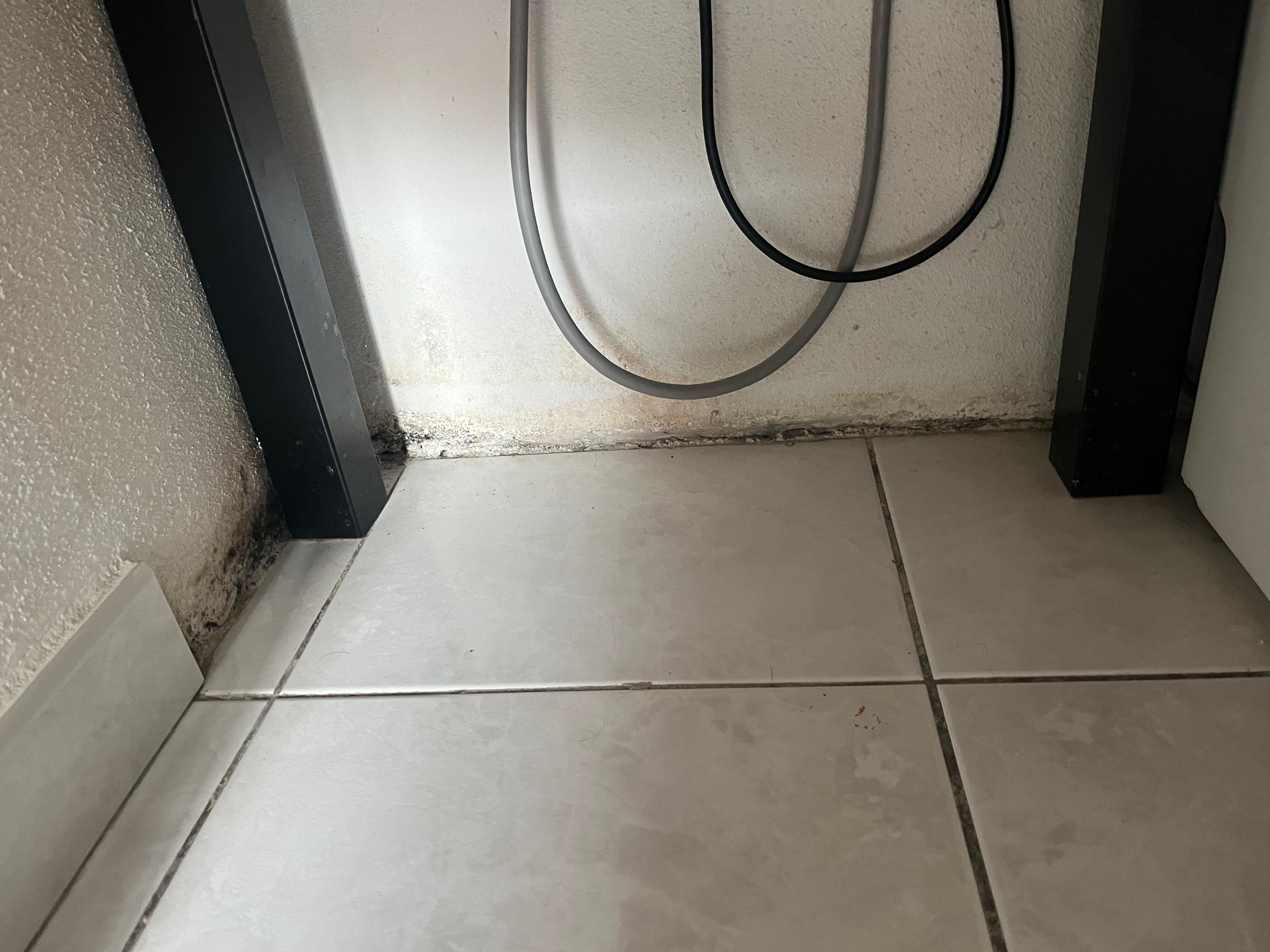 Moisissure murs et saleté 