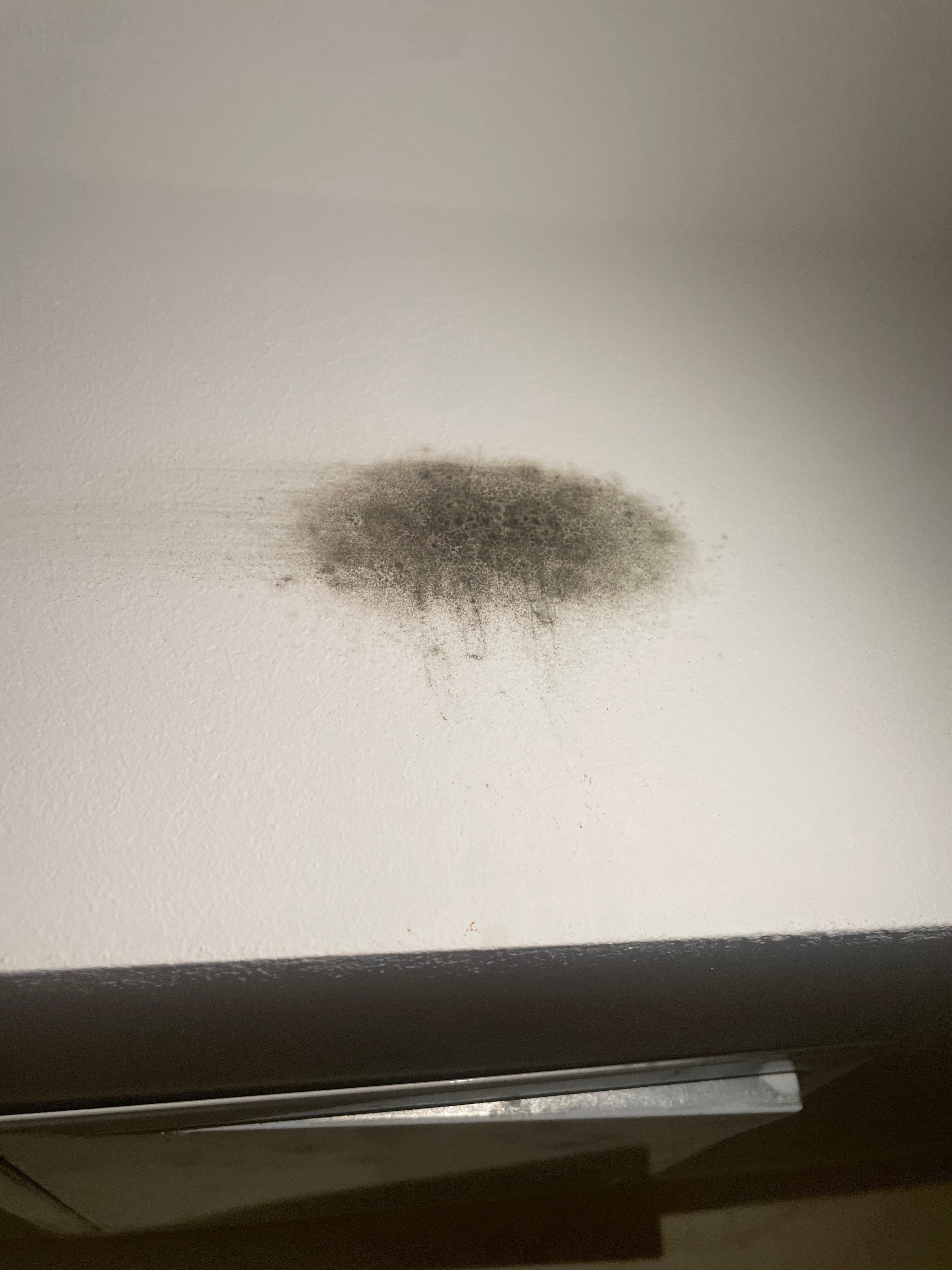 mold in room 