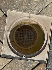 Nasty stained pool skimmer