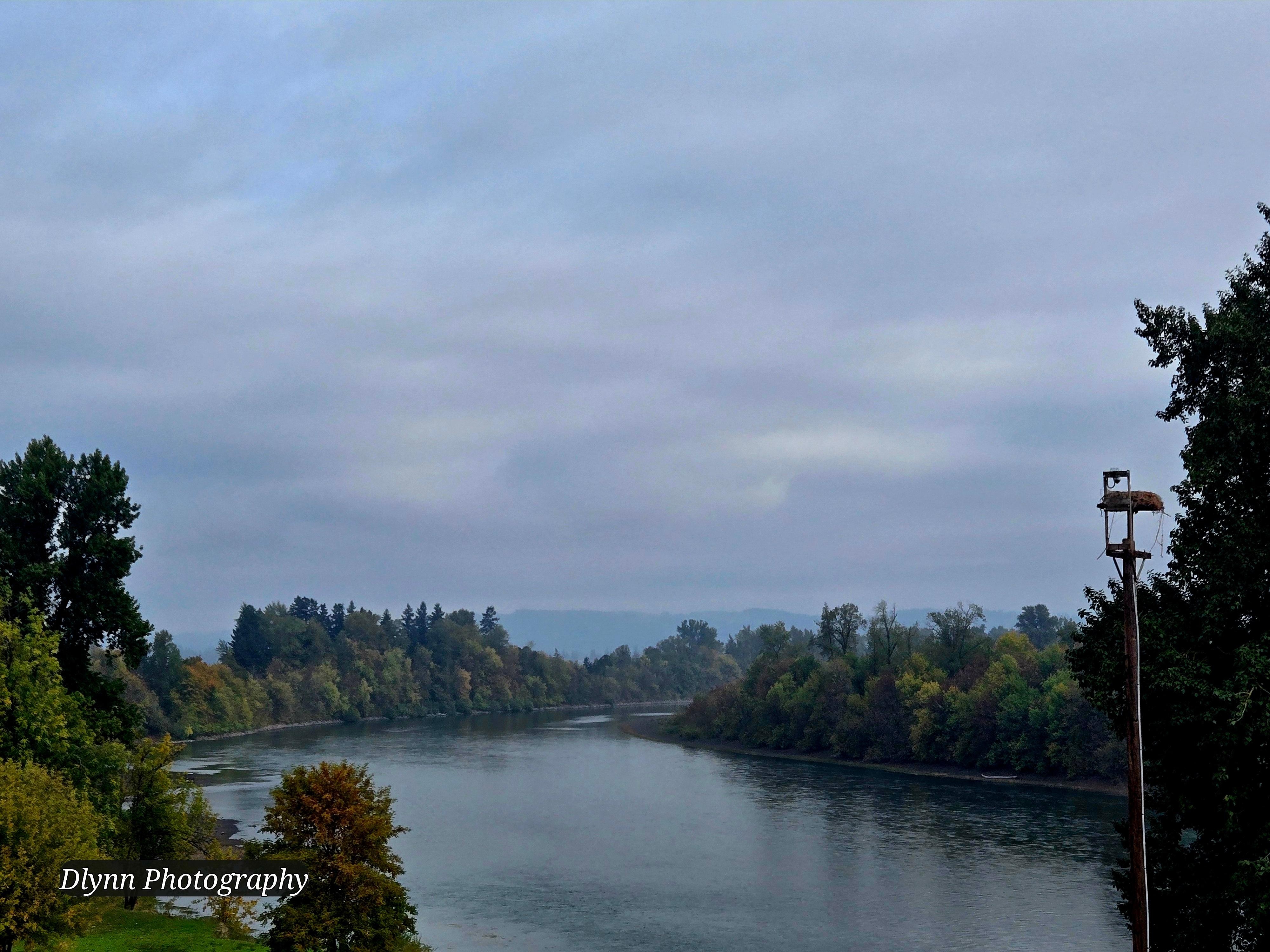 Rooftop view up river