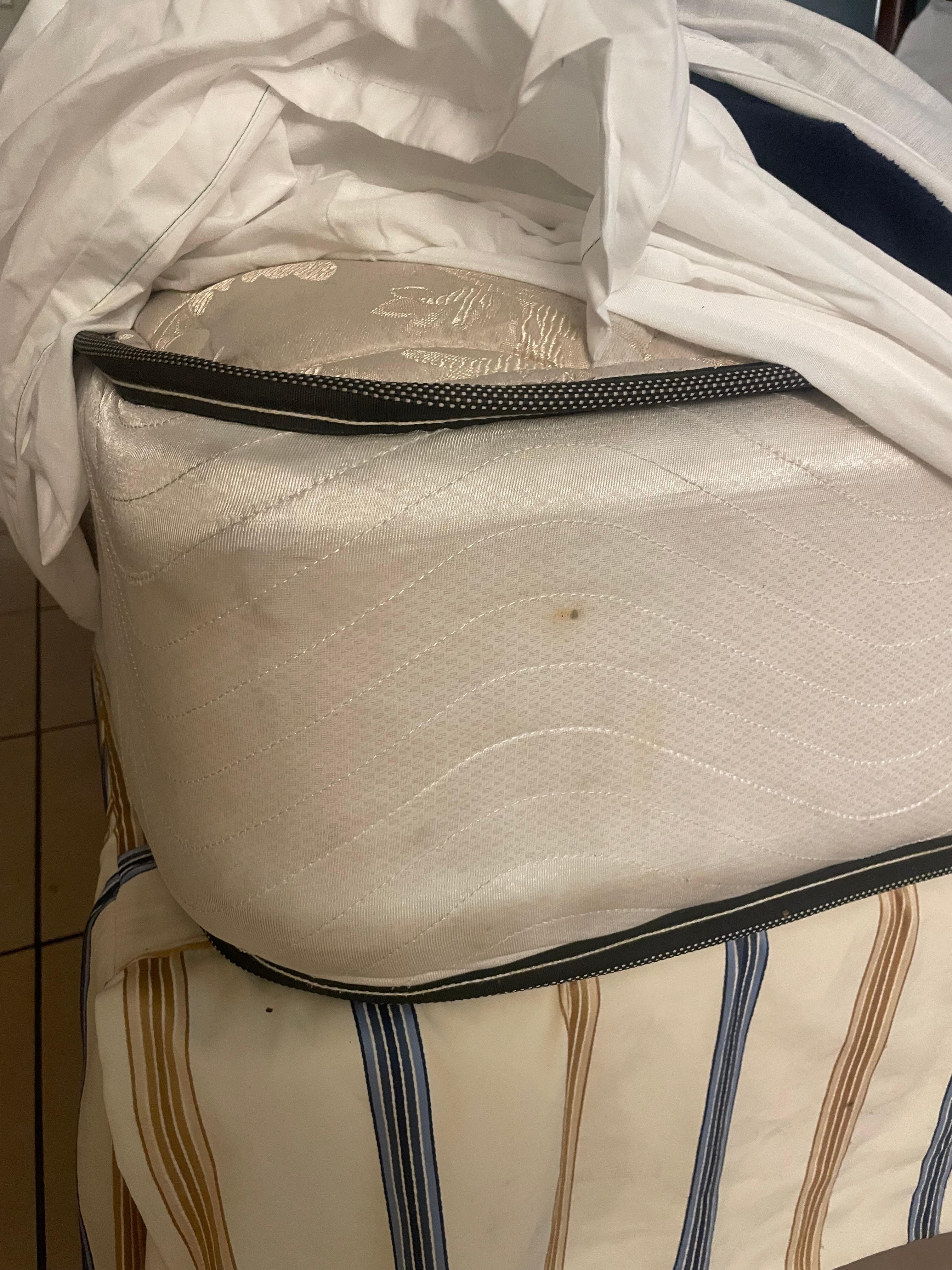 Filthy mattres or bed bugs 