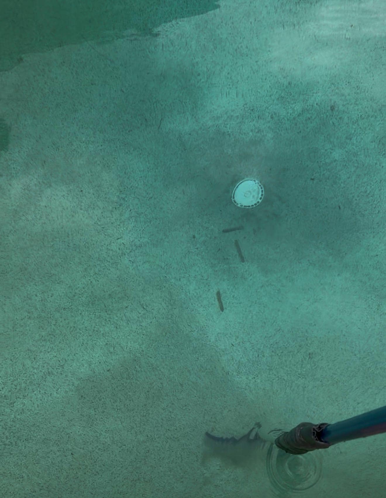 This was the bottom of the pool. Notice the dirt after using the pool broom on the bottom.