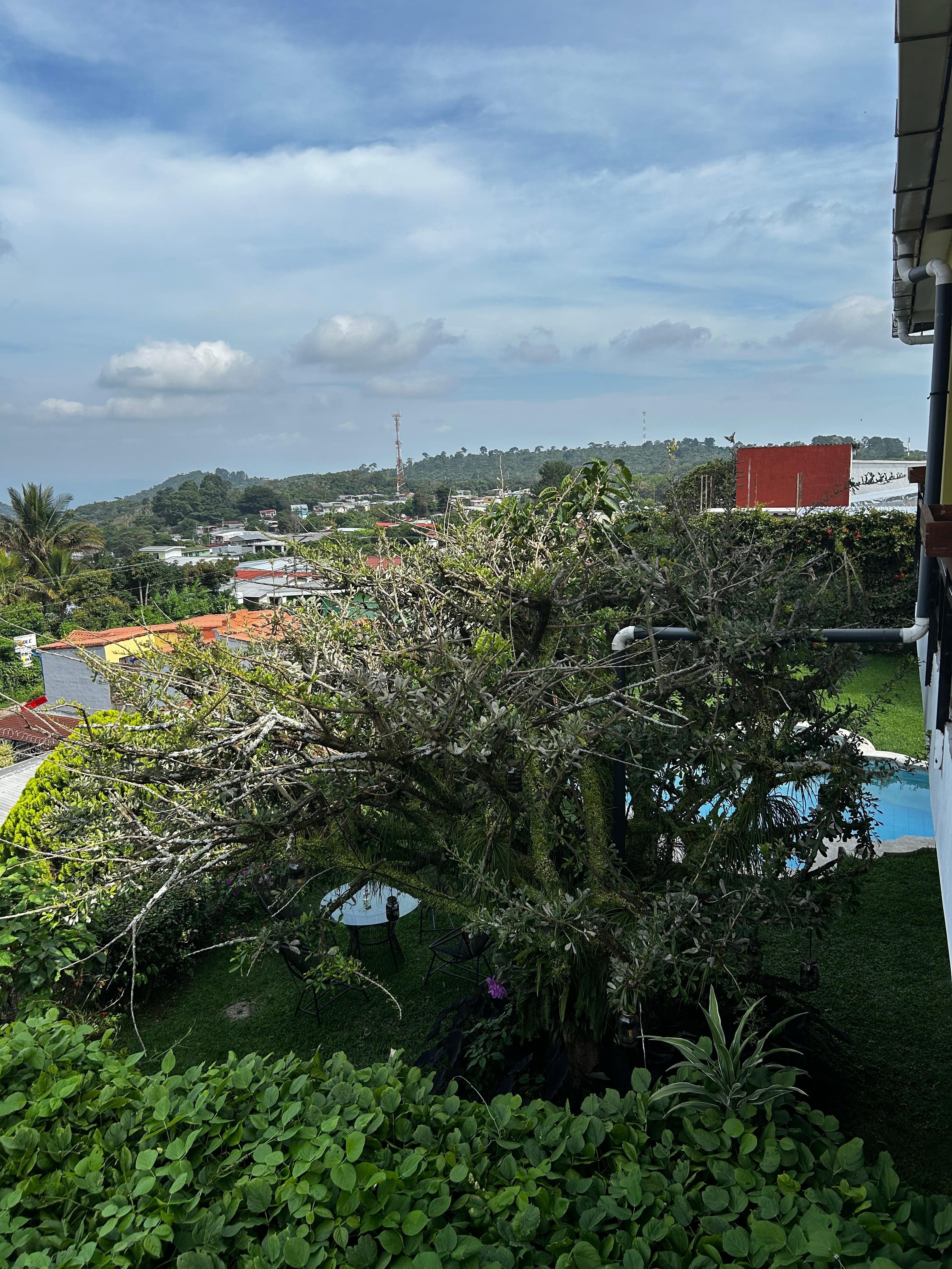 View
