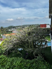 View