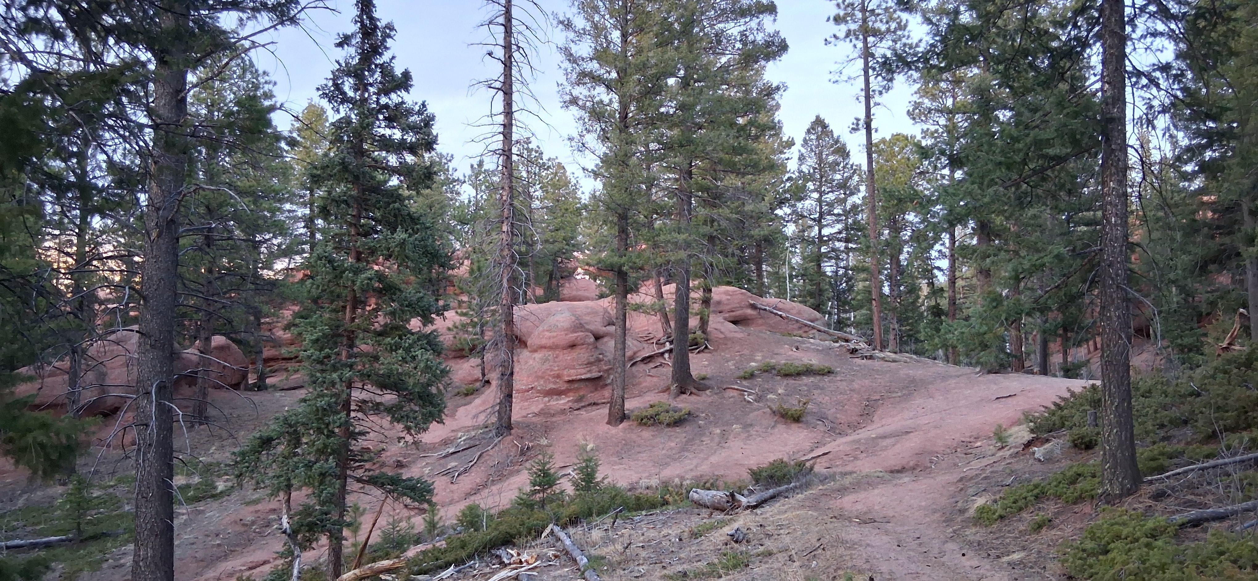 National Park behind the property.