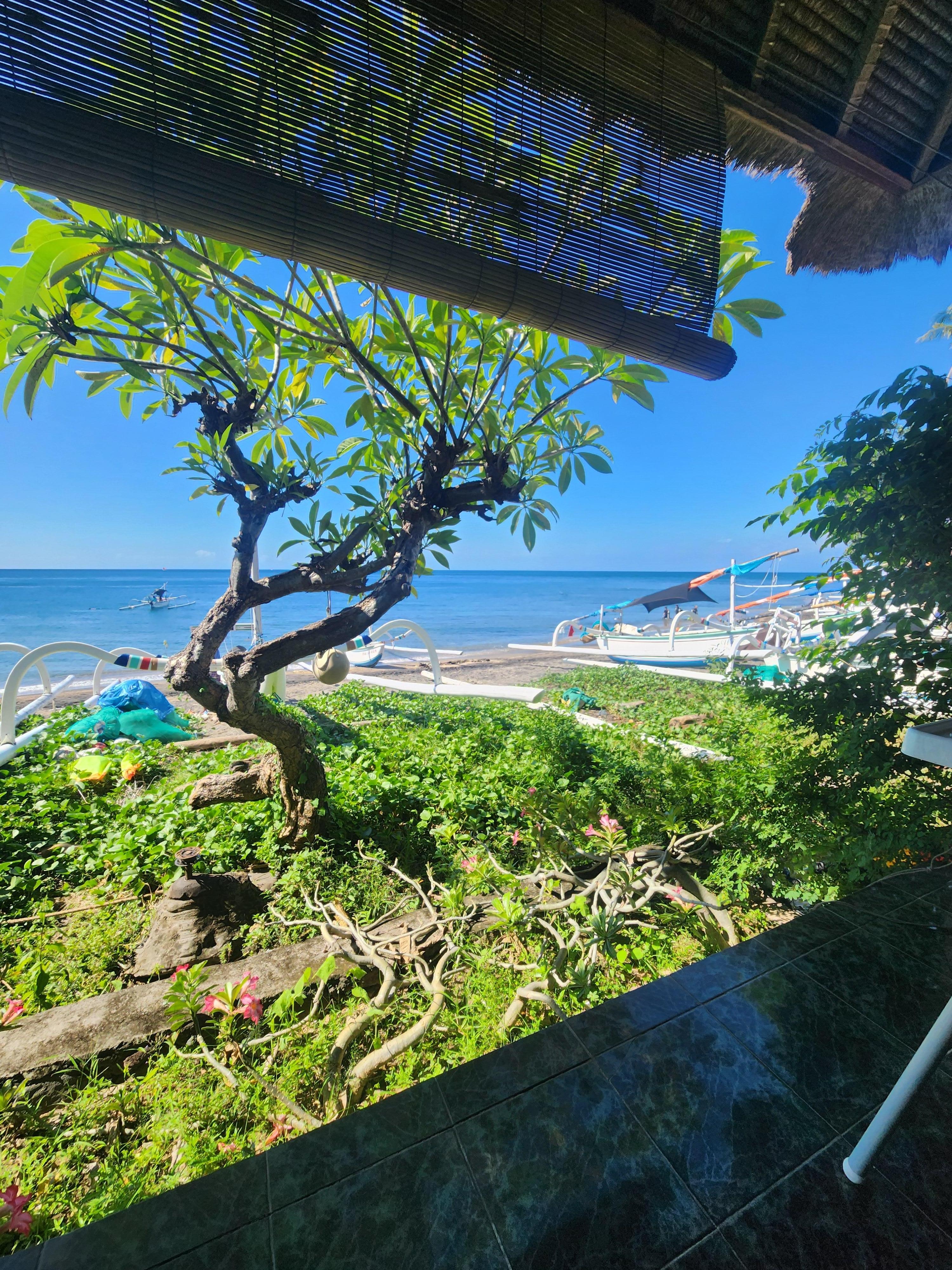 View from restaurant 