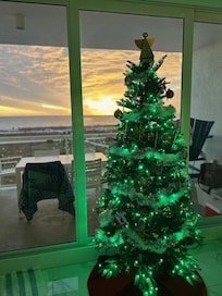 we even brought a Christmas Tree