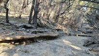 Beautiful dry creek behind the cabin