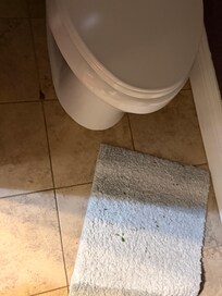 Floor in bathroom upon arrival