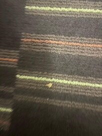 Toe nail on floor ( the smaller bit)