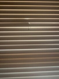 Broken blinds in the main floor bedroom