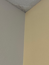 Our arachnid roommate