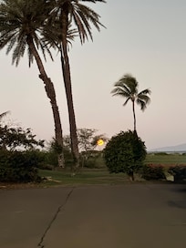 View from parking lot