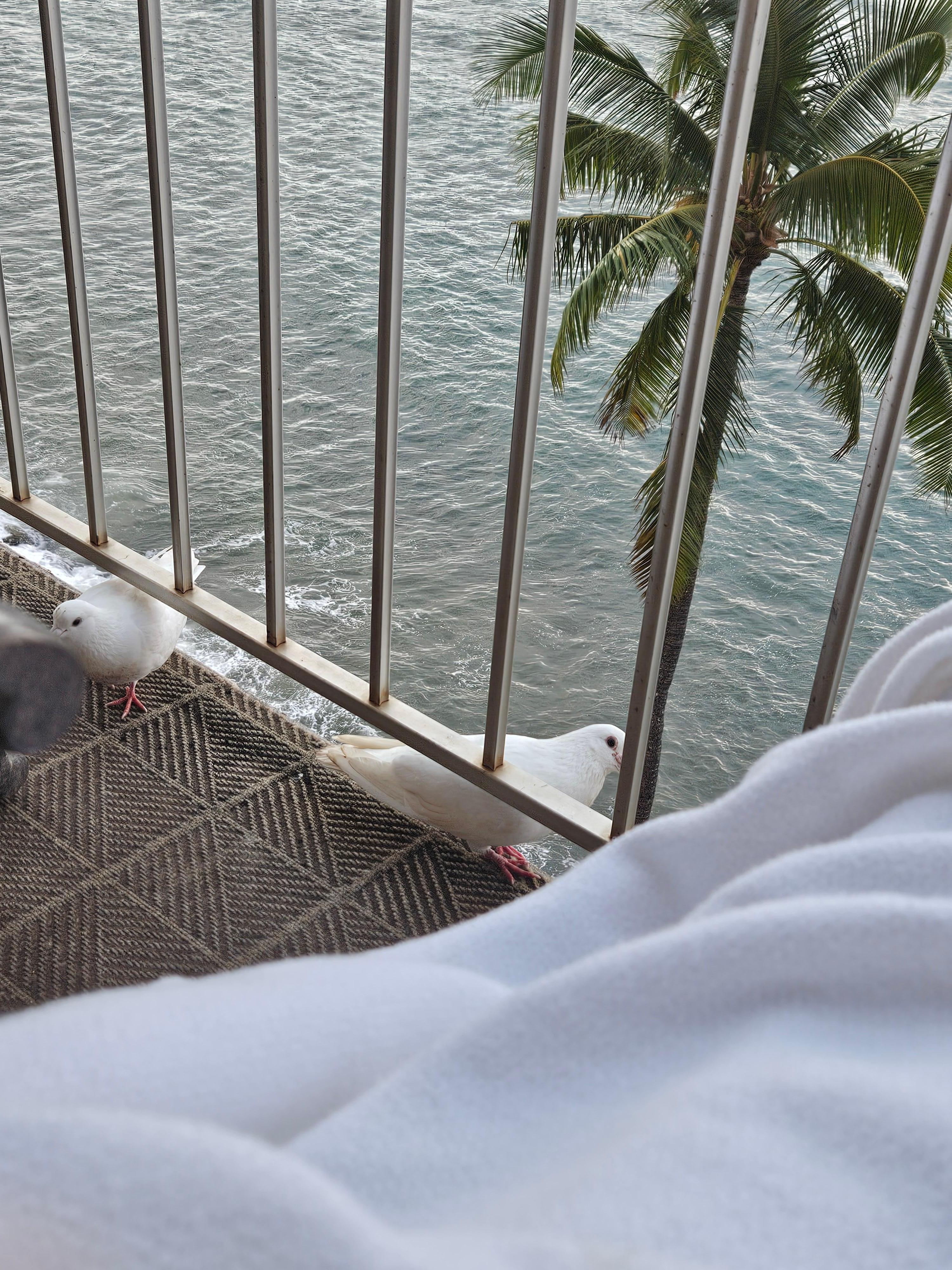 A few little visitors 