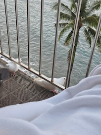 A few little visitors