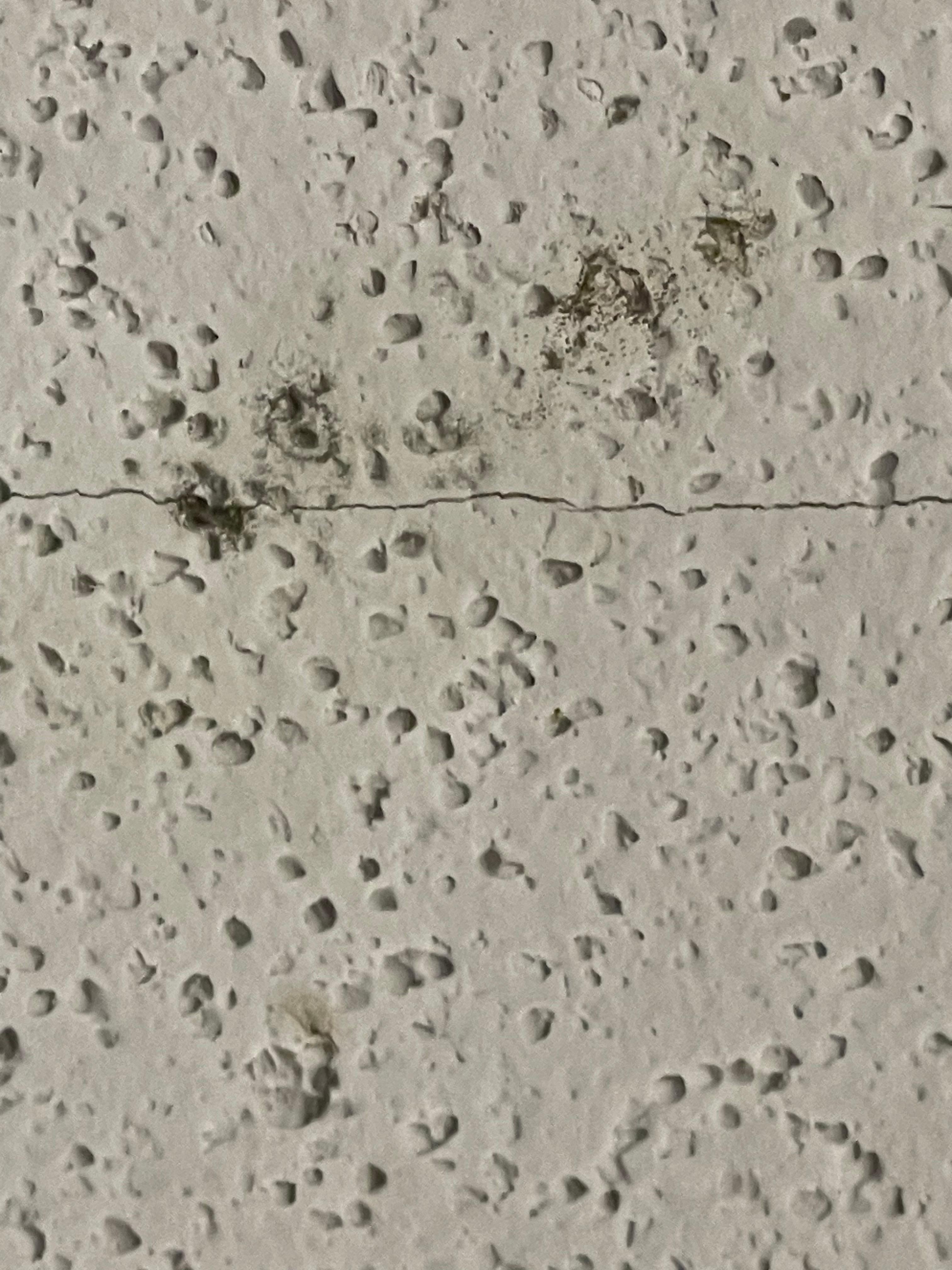 Mold, ceiling crack