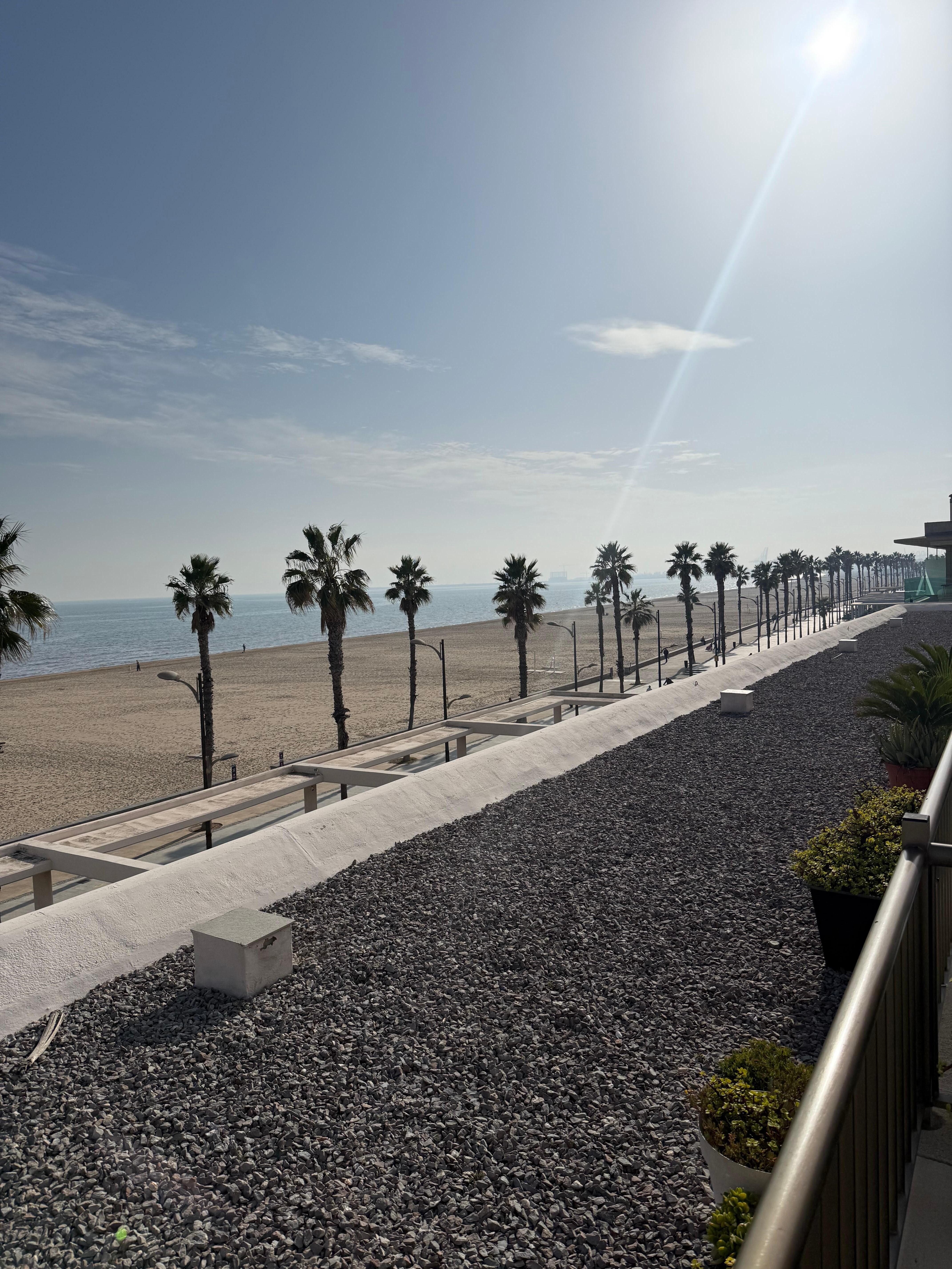 View from the terrace