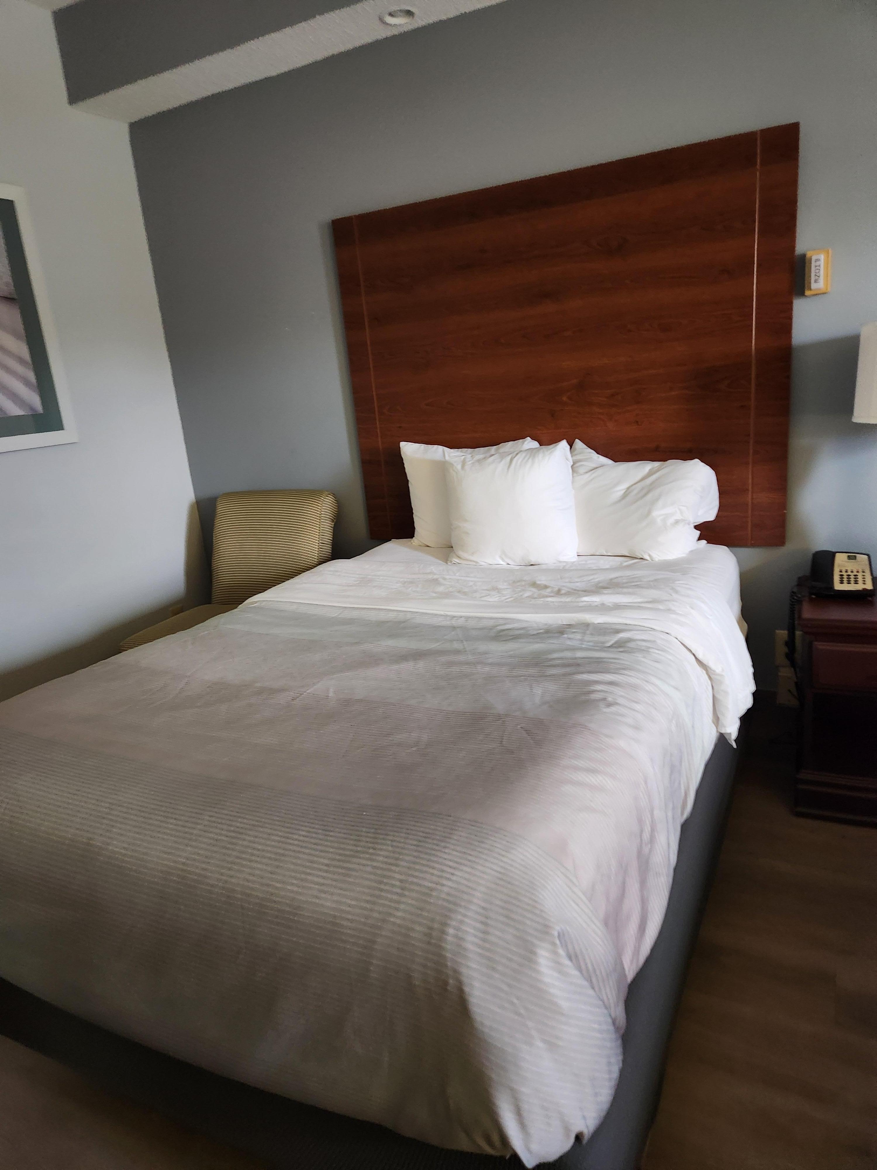 Accidentally booked the double, but still slept well!