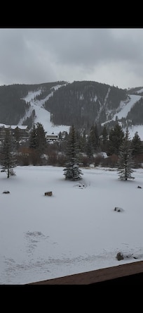 View from the condo balcony.