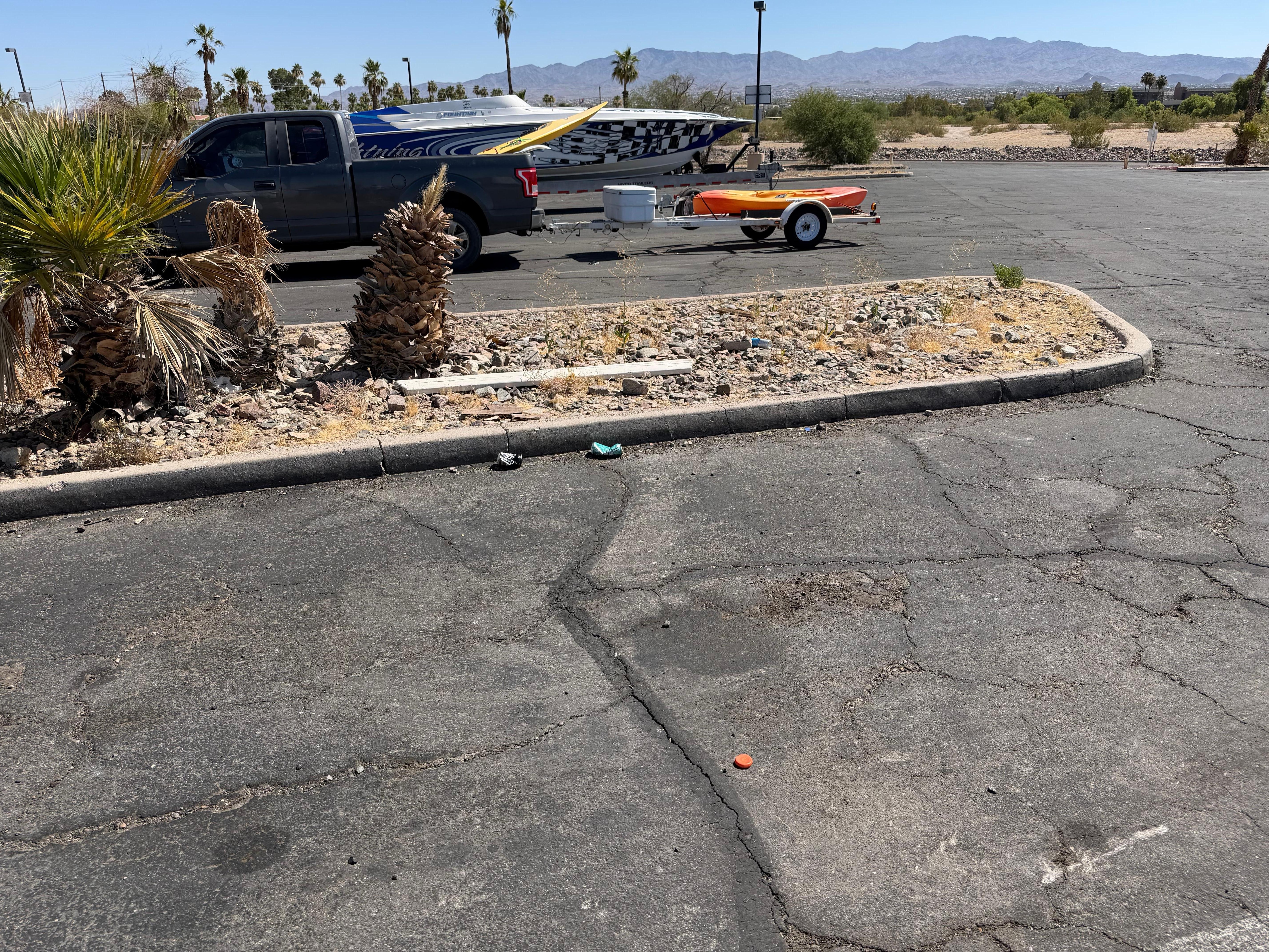 Trash and dead trees all over property