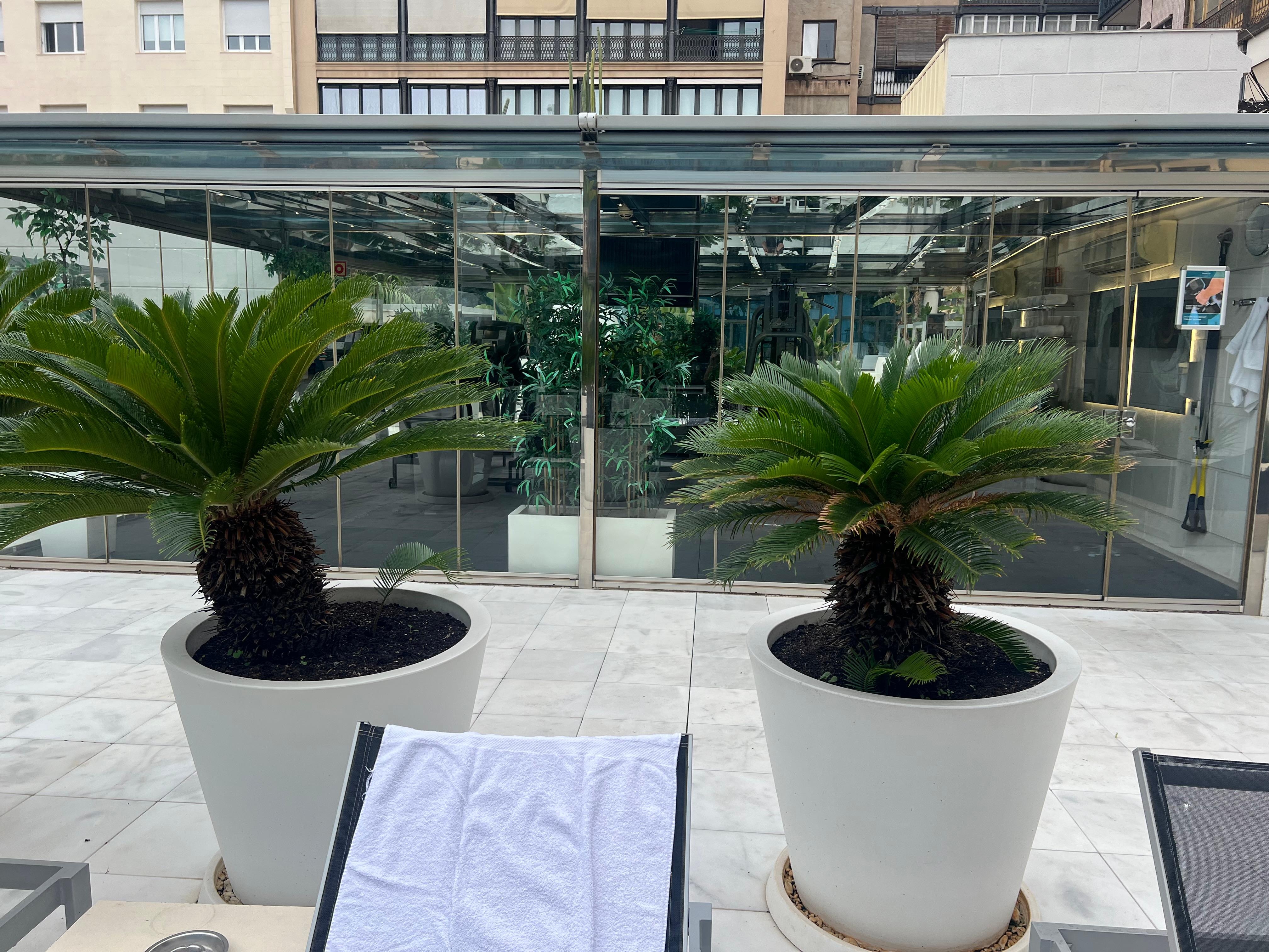 Terrace and Gym area