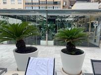 Terrace and Gym area