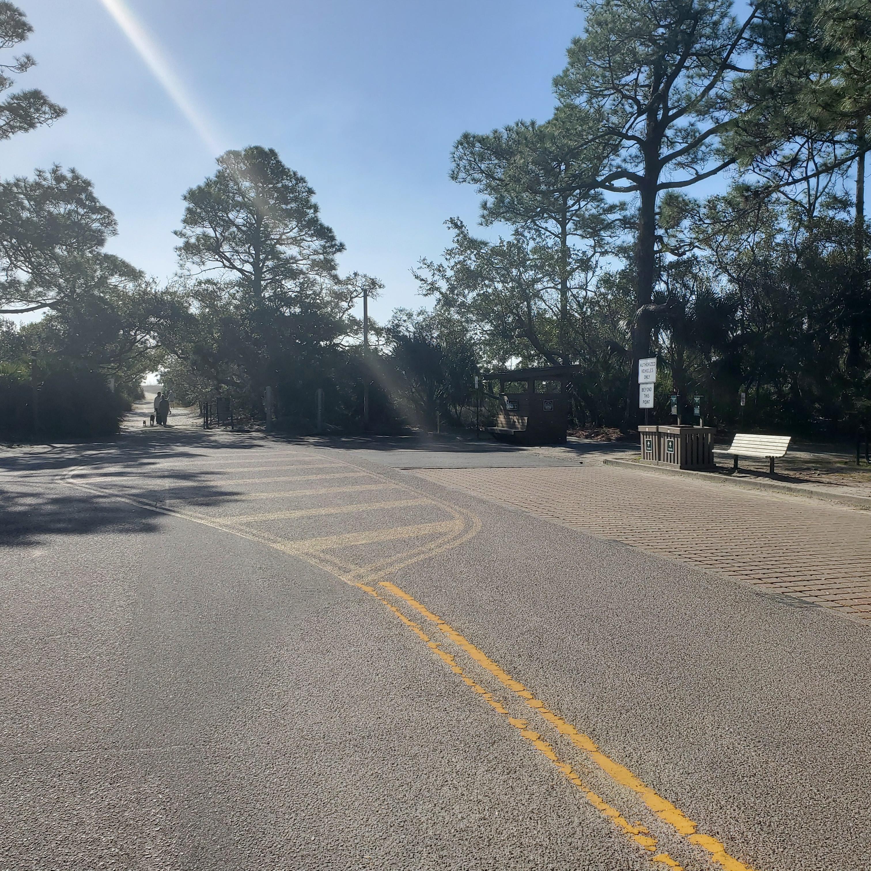Trail leading to the beach