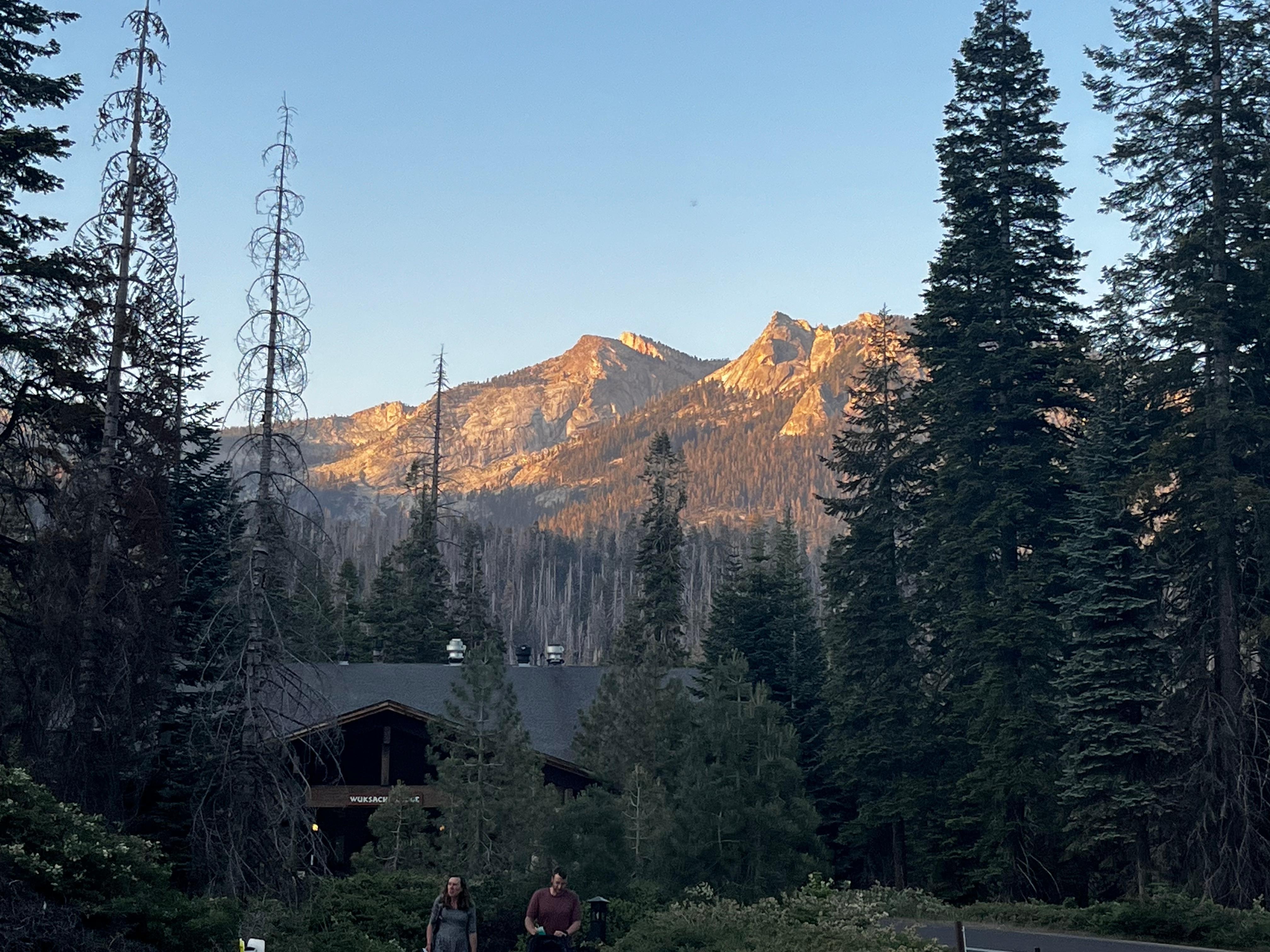 Wuksachi Lodge 