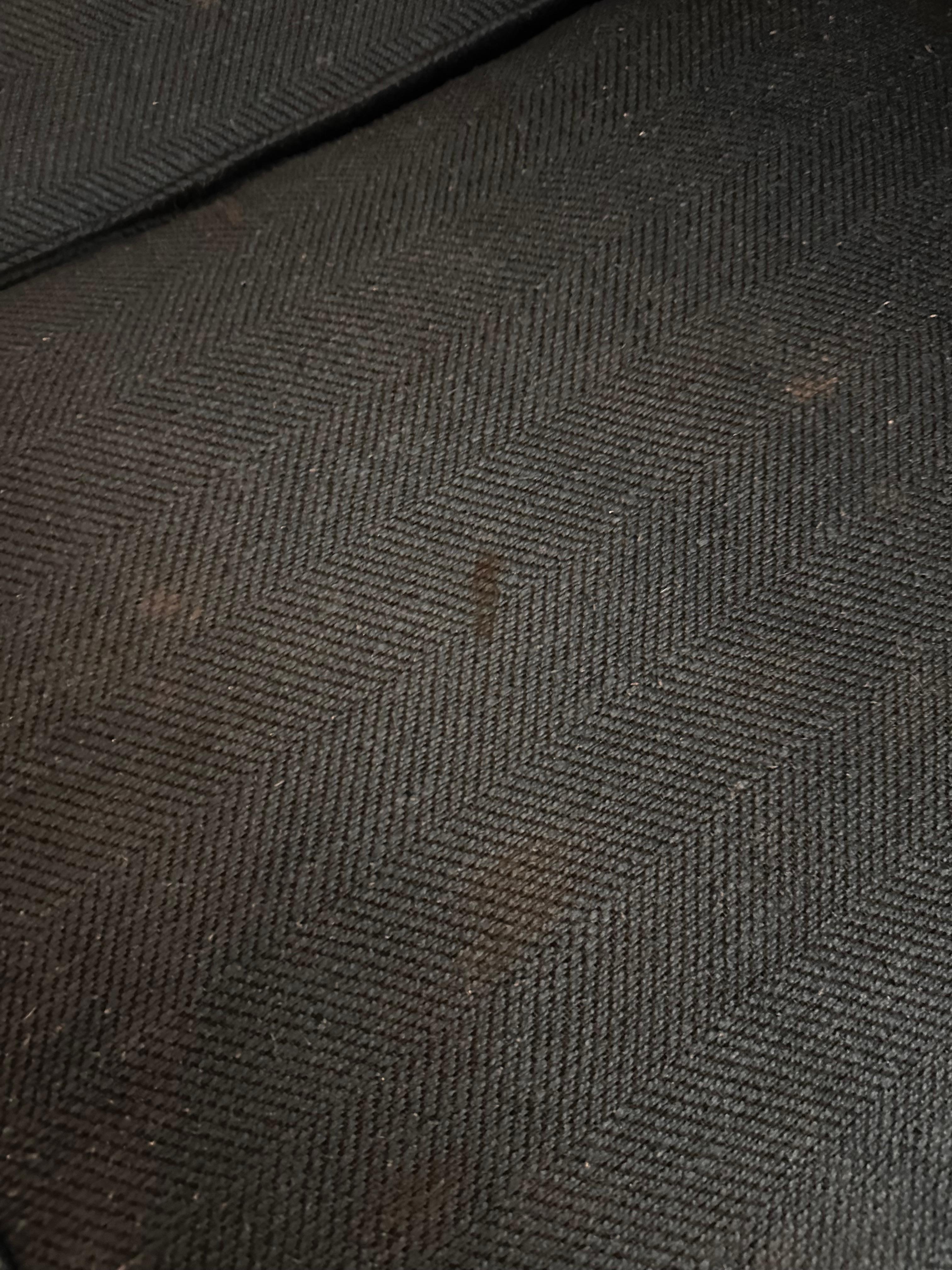 Stains on pullout couch