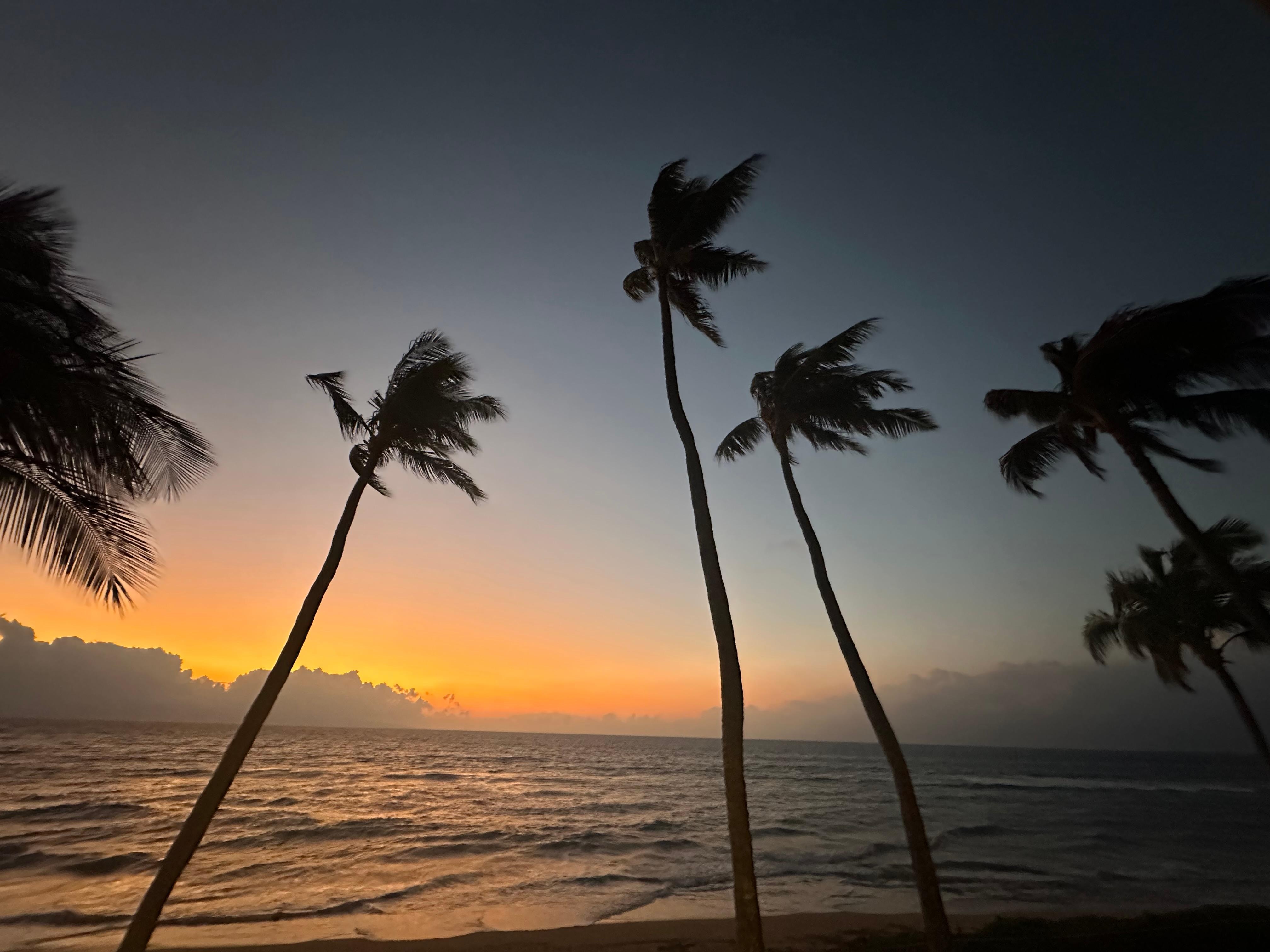 View from our balcony 