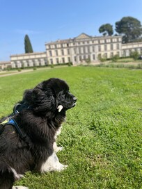 Chateau pennautier
