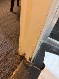 Wet carpet and mould on doorframe - near shower