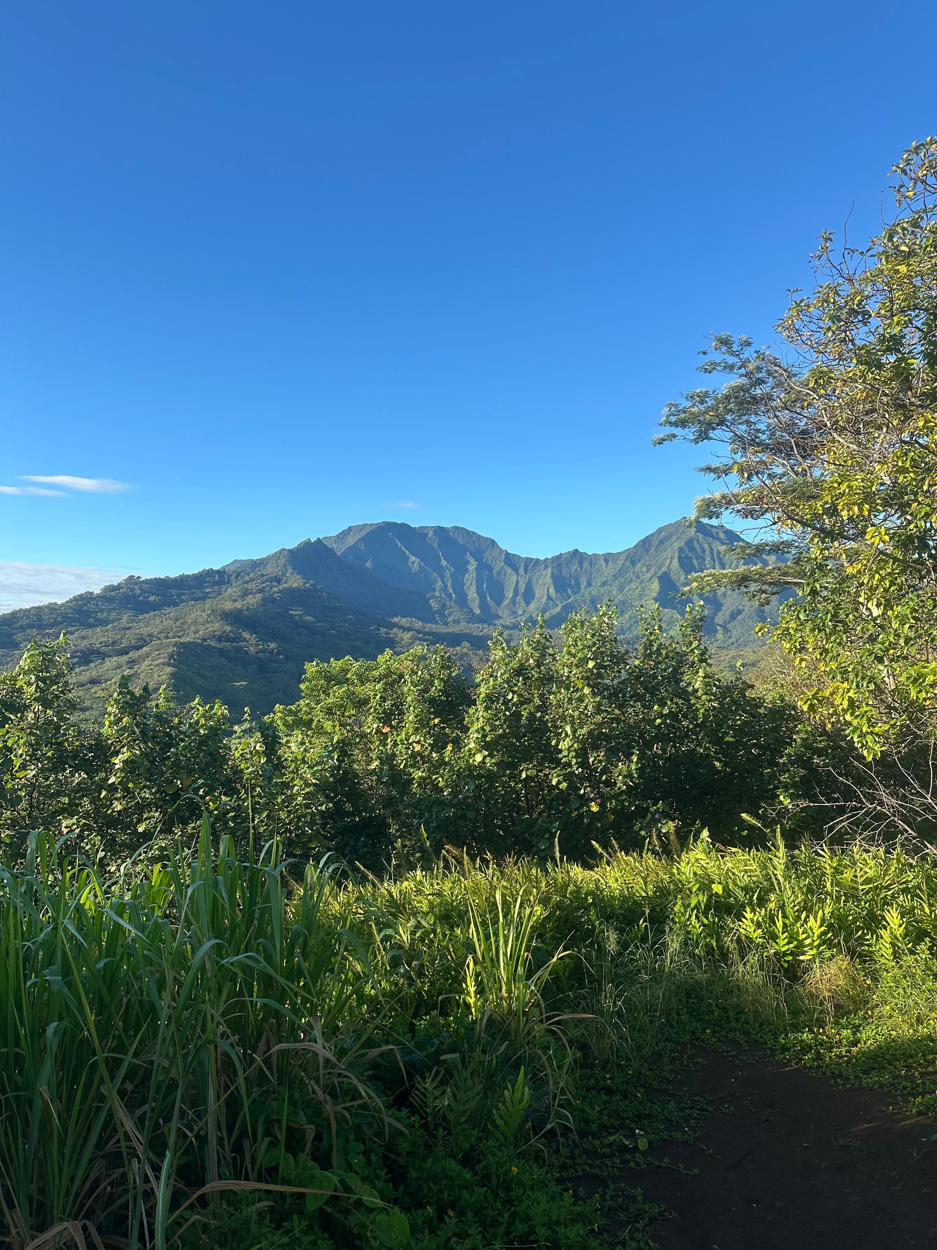 Hanalei Valley
