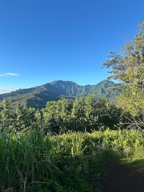 Hanalei Valley