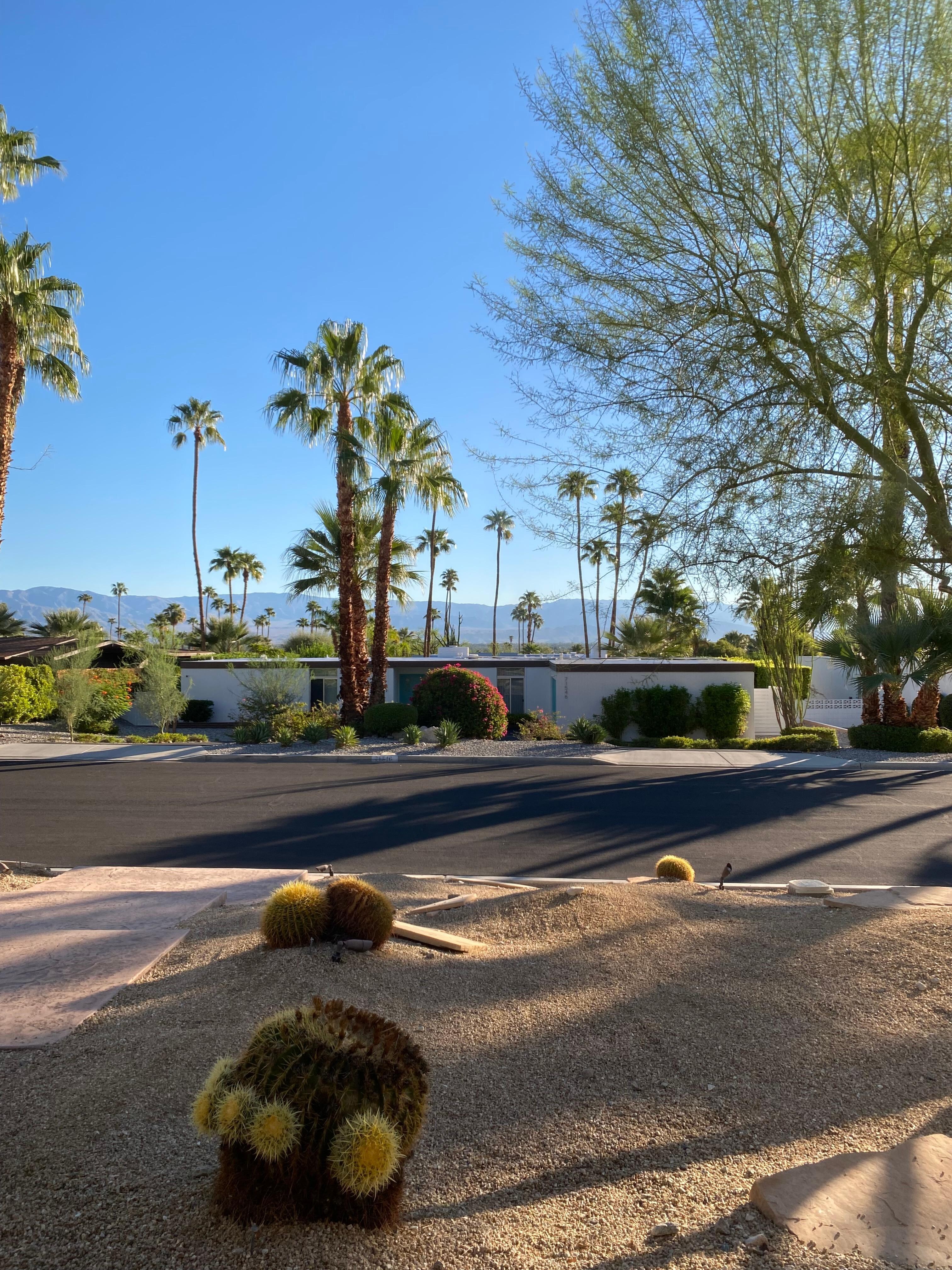 Outside the kitchen window 
