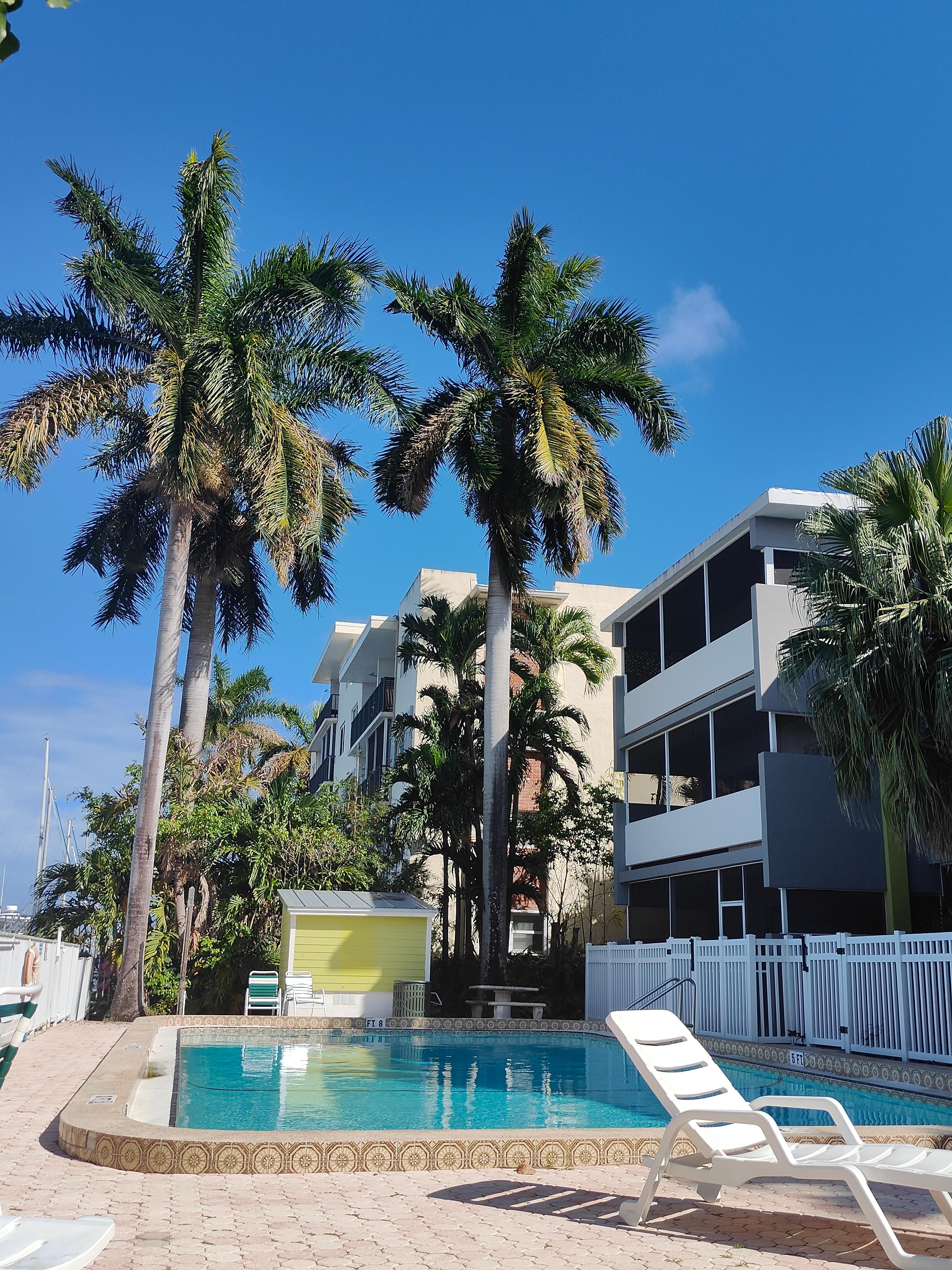 Pool area and chairs are nice and very well maintained.