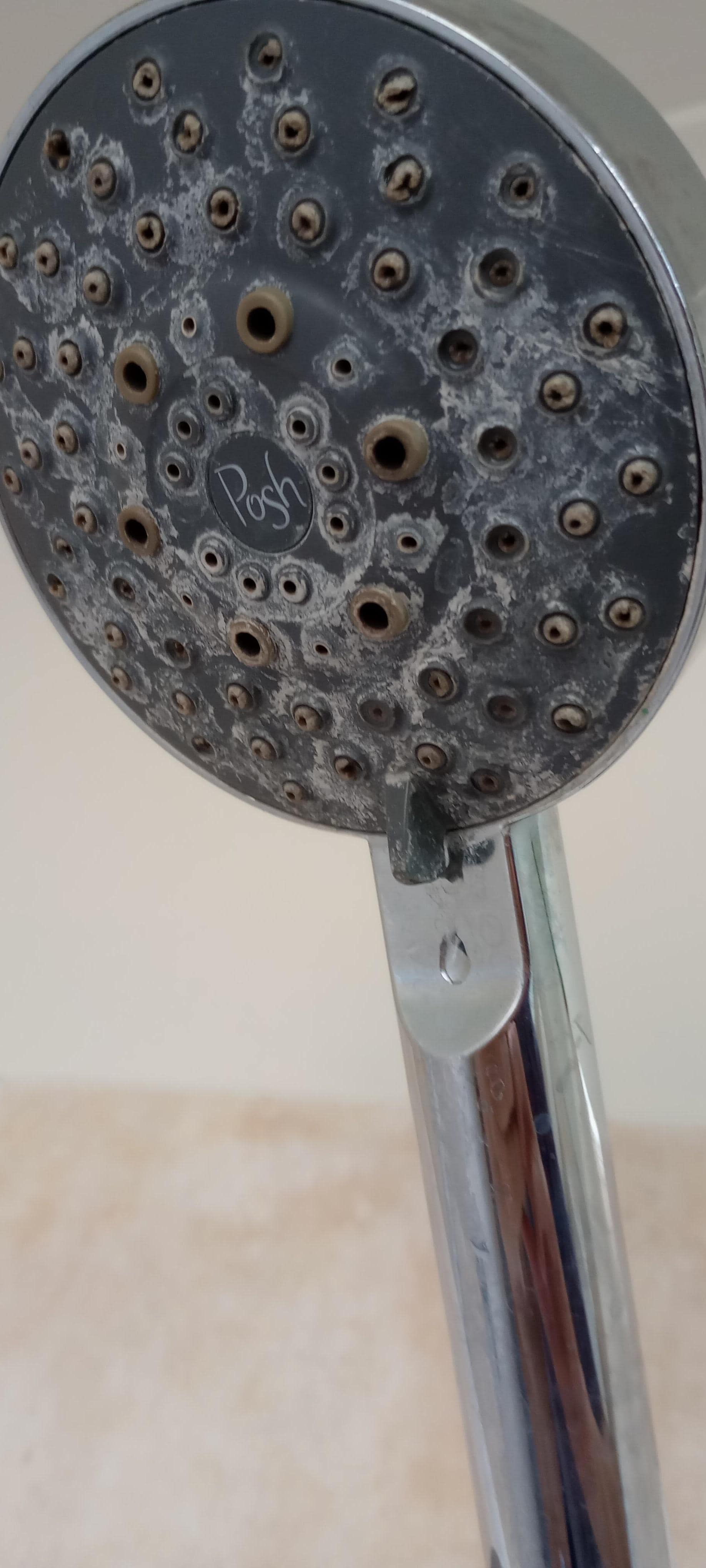 Shower head would you use this ?